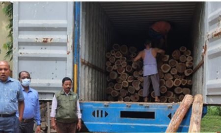১০ লাখ টাকার সেগুন কাঠ জব্দ