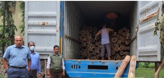 ১০ লাখ টাকার সেগুন কাঠ জব্দ