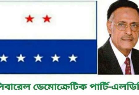 এলডিপির অঙ্গ সংগঠন গণতান্ত্রিক স্বেচ্ছাসেবক দলের কমিটি গঠন