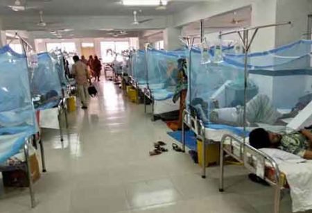 ডেঙ্গু আক্রান্ত হয়ে ৮ রোগী হাসপাতালে ভর্তি