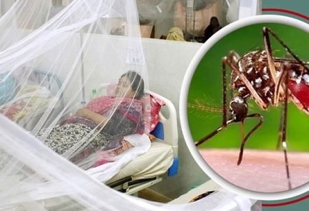ডেঙ্গুতে কেন মৃত্যু বেশি